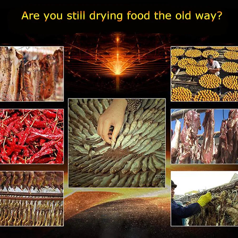 Déshydrateur Alimentaire – Séchage Naturel Fruits, Légumes, Viande